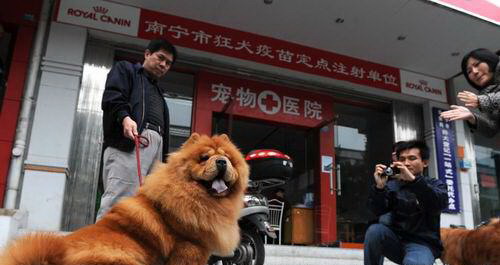 南宁：宠物狗拥有电子身份证