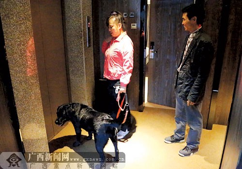 盲人调律师携带导盲犬来学画画 感受南宁热情(图)