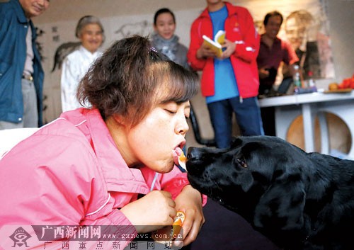 盲人调律师携带导盲犬来学画画 感受南宁热情(图)