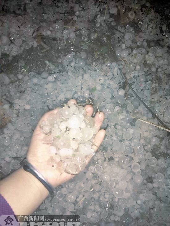 第一声春雷在南宁市乍响 雷雨冰雹联袂上演(组图)