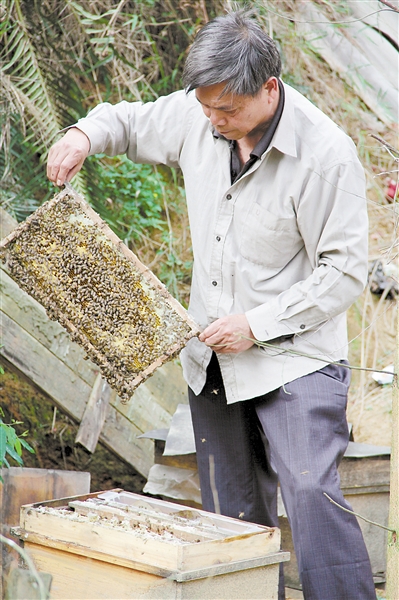 横县农民增收致富有奇招