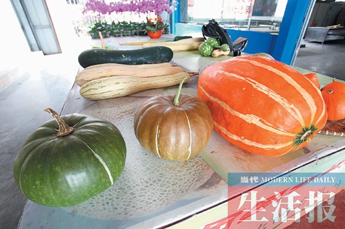 南宁奇迹：太空种子结果大变化 太空蔬菜摆上餐桌