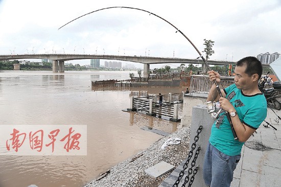 邕江8月27日迎最大洪峰 预计洪峰水位71.3米(图)