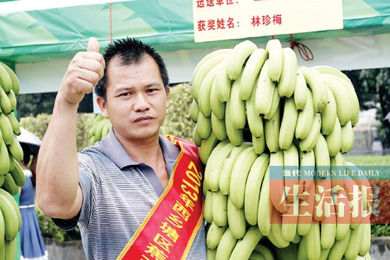 南宁西乡塘区香蕉文化旅游节开幕
