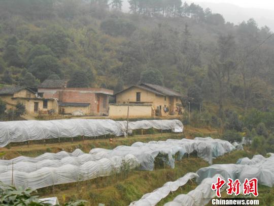 音容笑貌永远定格12岁