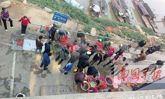 电鱼形成产业链 邕宁区蒲津路河堤一带形成