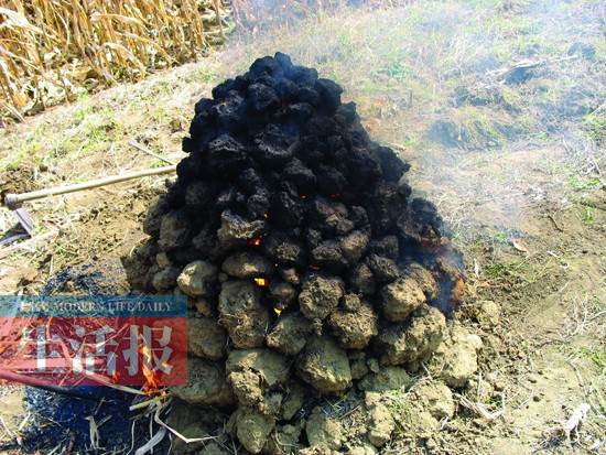 南宁:游市郊生态农庄 美食游玩两不误