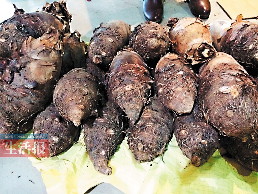 广西:1500多种土特产等你来淘 不过瘾还可网上买