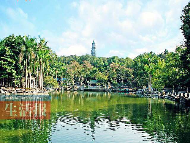 南宁市青秀区推出4条特色旅游路线 选一条逛逛吧