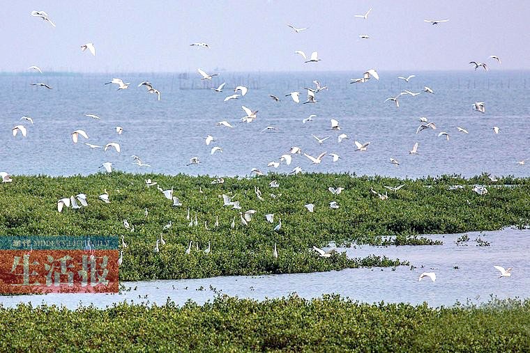 广西13个国家湿地公园 原始生态风光值得欣赏(图)