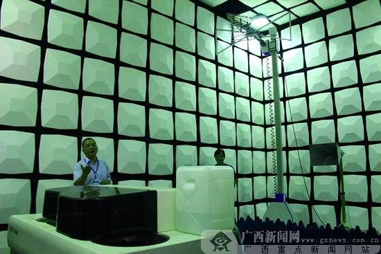 中国-东盟质检中心建设助力广西产业发展(组图)
