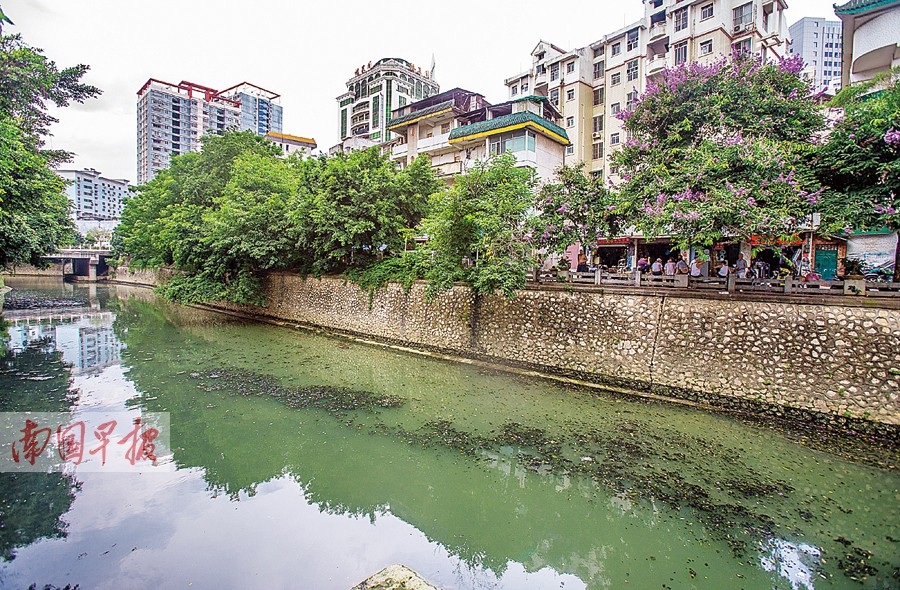 南宁朝阳溪水黑臭难闻 城市内河之臭为何成顽疾