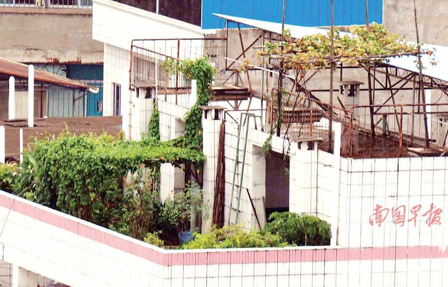 南宁多处小区都有“私家花园” 居民有赞有弹(图)