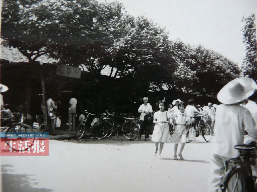 南宁交易场:陪伴百姓60年的“菜篮子”(组图)