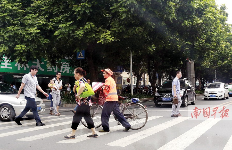 “礼让斑马线”八成私家车不礼让 行人过街心惊惊