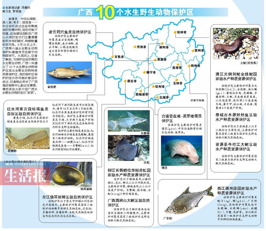 中华白海豚、美人鱼……看到这些宝贝请手下留情