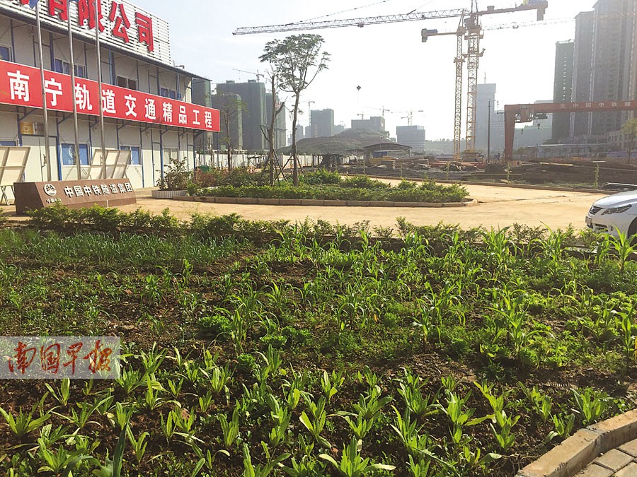 关注南宁空气质量:工地裸土缘何总盖不上(组图)