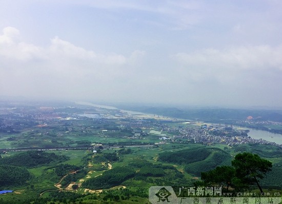 走进“中国茉莉之乡” 体验美丽花都别样茉莉风情