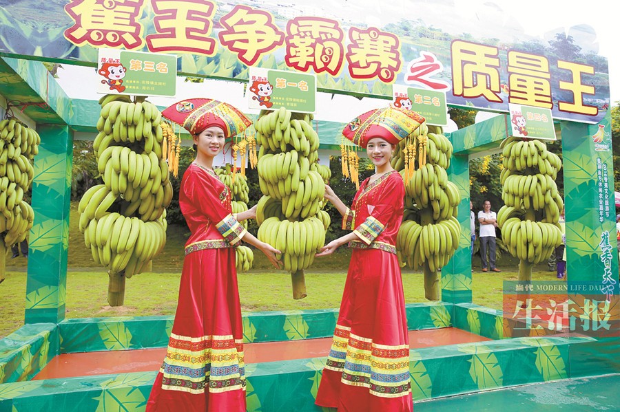 南宁西乡塘区香蕉文化旅游节开幕 “蕉王”长啥样